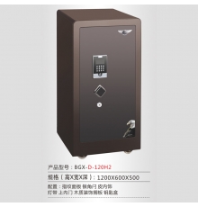恒發(fā)保險箱 智能電子保險箱 多重防護(hù) 雙重報警 皮革內(nèi)飾 金斗士H2系列 BGX-D-120H2 H1200*W600*D500mm